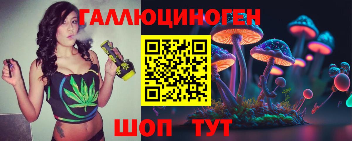 Междуреченск  Галлюциногенные грибы Psilocybe  где можно купить наркотик  Вход с VPN 